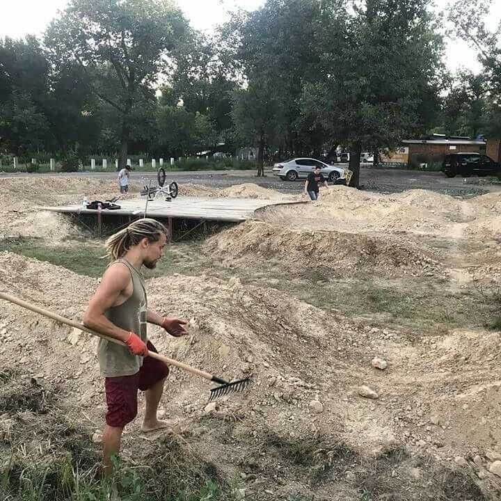  13362036  , 29 ,    