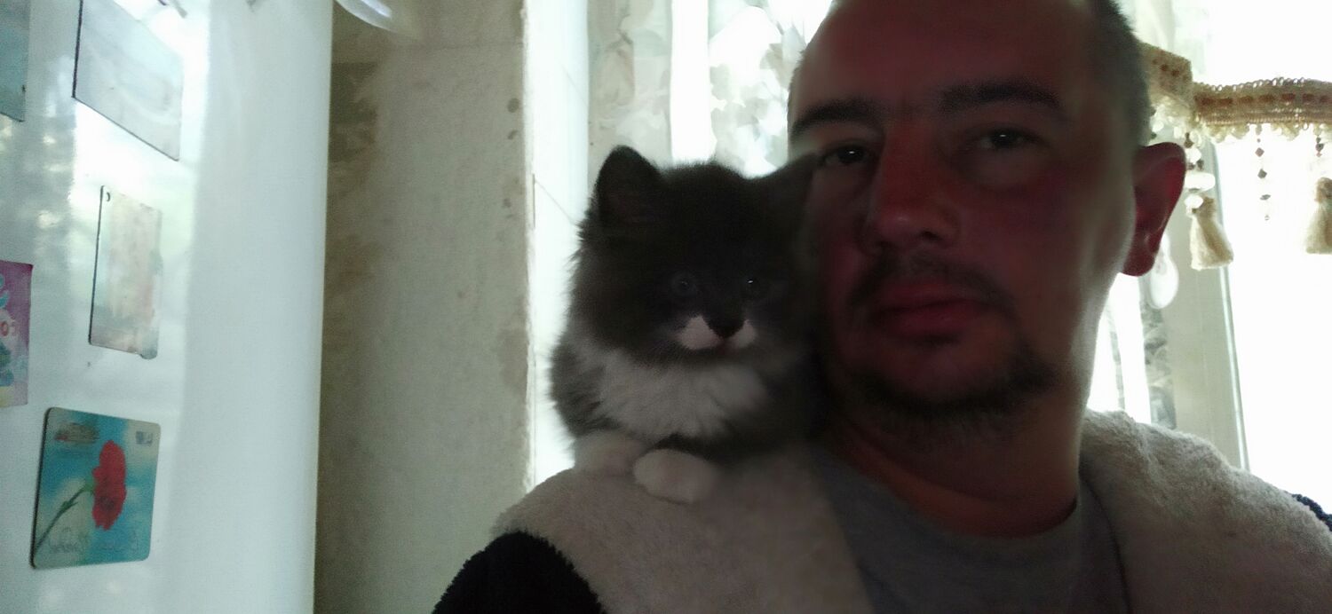 ,   Denis, 43 ,   ,   