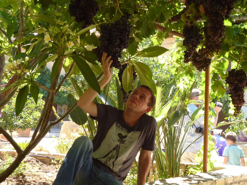 ���������� �����-���������, ���� ������� ������, 46 ���, ������������ 