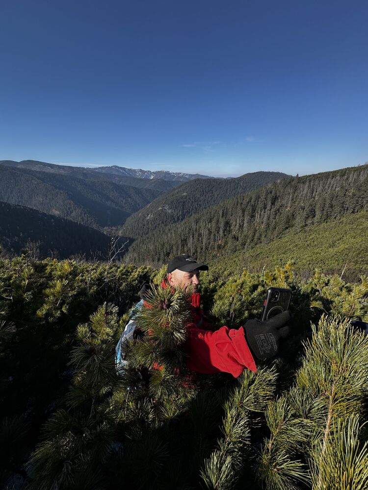  54242566  , 40 ,    --