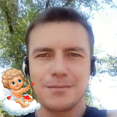 ���� 26550056 ������� ������, 41 ���, ���� ���������� � �������