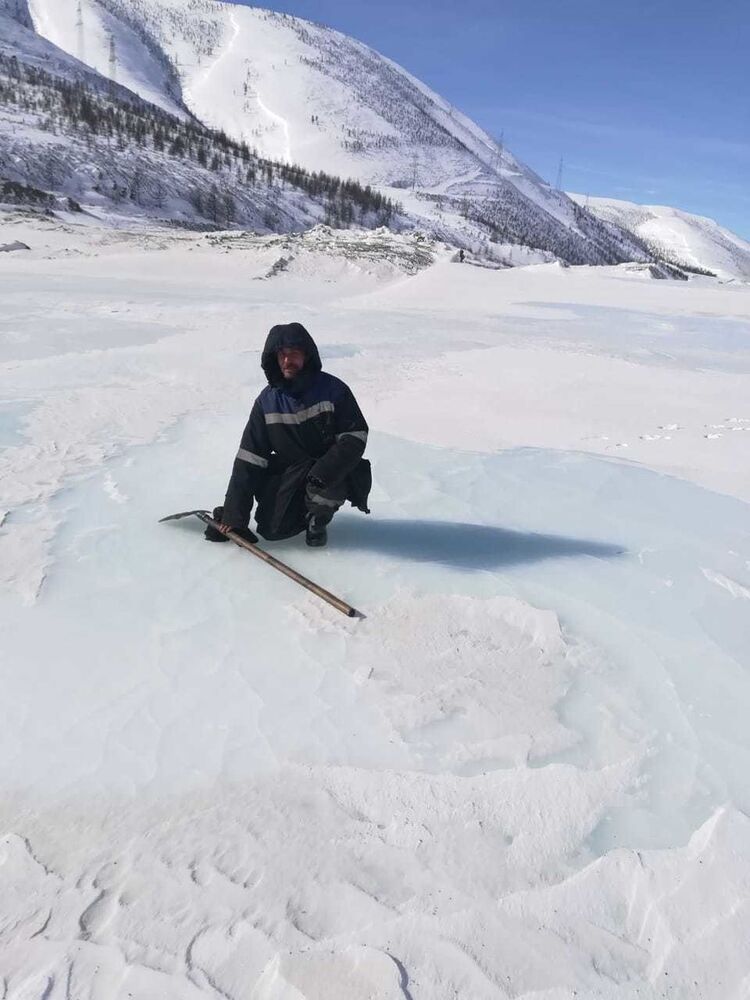 ���� 18886016 ������� Bob, 49 ���, ���� ���������� � ����������