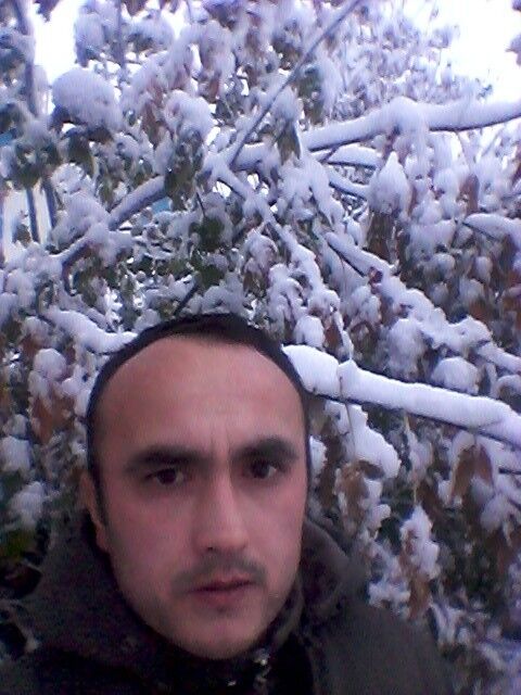  8239036  Zamir, 44 ,    