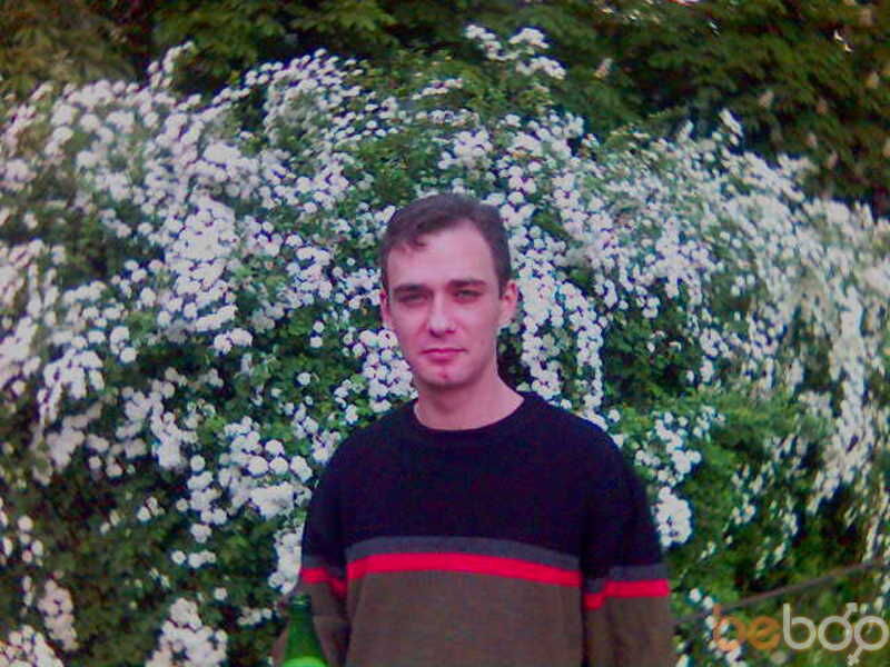 ���� 230056 ������� Maxxim31, 49 ���, ���� ���������� � �������