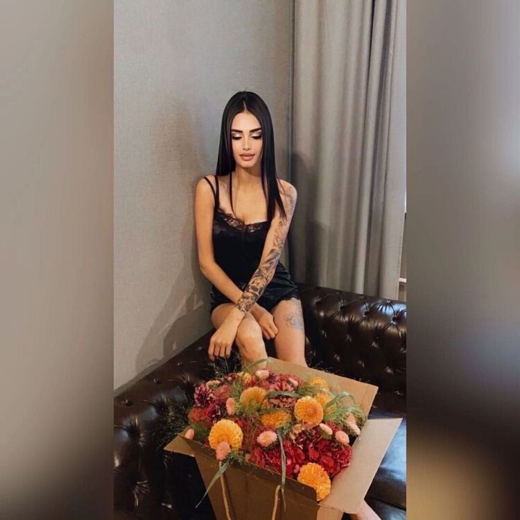 ���� 31886536 ������� ����������, 24 ����, ���� ���������� � ������