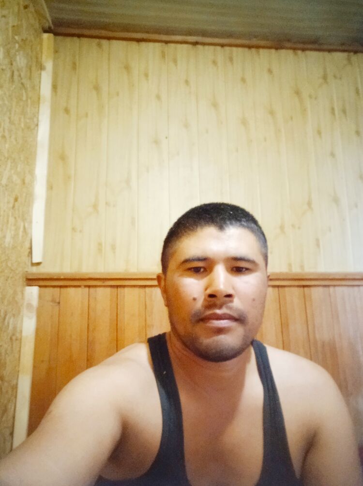  24505776  , 33 ,    