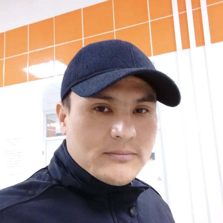  34348026  , 41 ,    