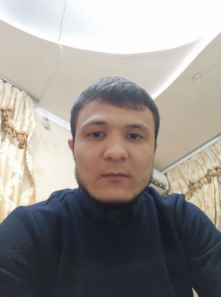 45676176  , 31 ,    