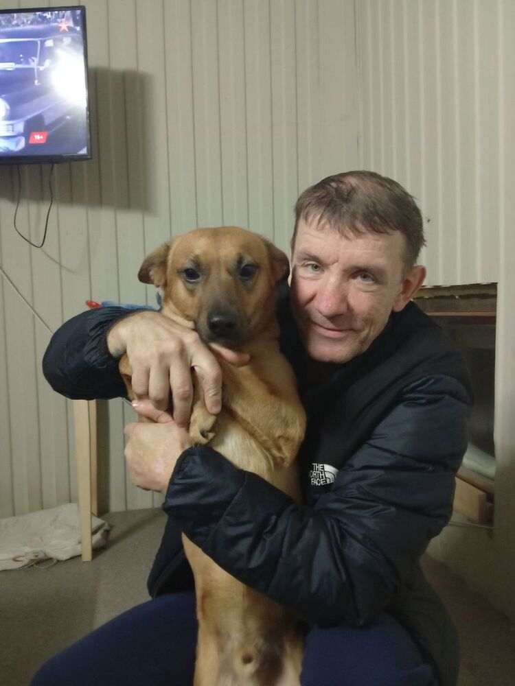 ���������� ������������, ���� ������� �������, 55 ���, ������������ ��� ������, ����� � ���������