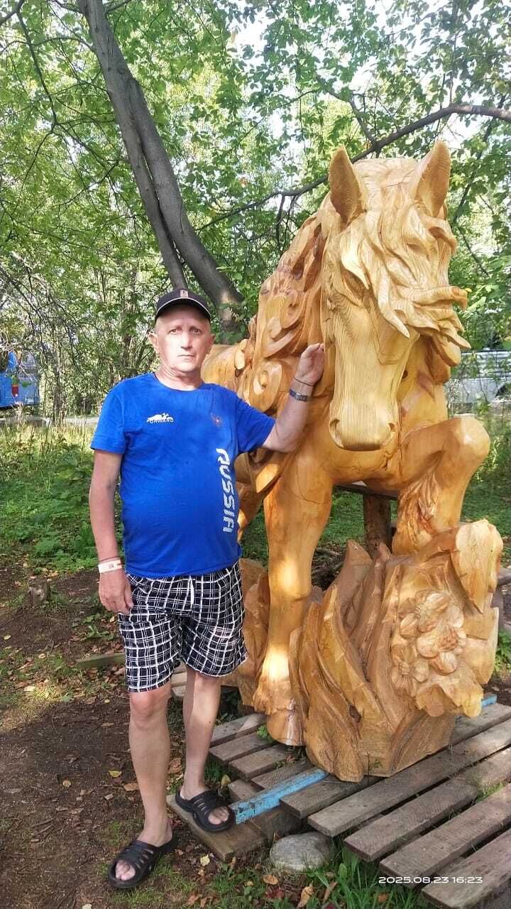  54164886  , 59 ,    -