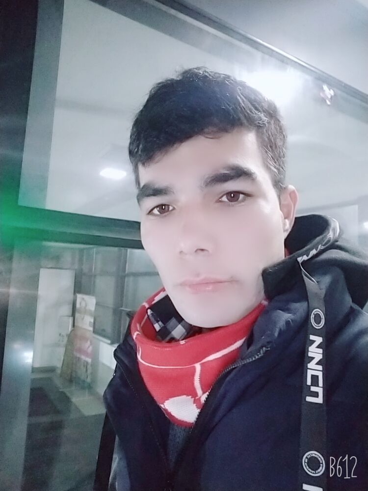  29844346  , 31 ,    