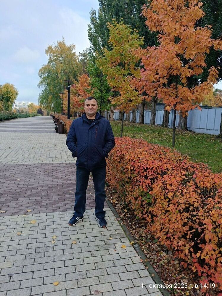 ���� 55619226 ������� ���������, 49 ���, ���� ���������� � ��������