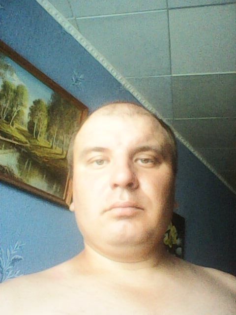  23955466  , 36 ,    
