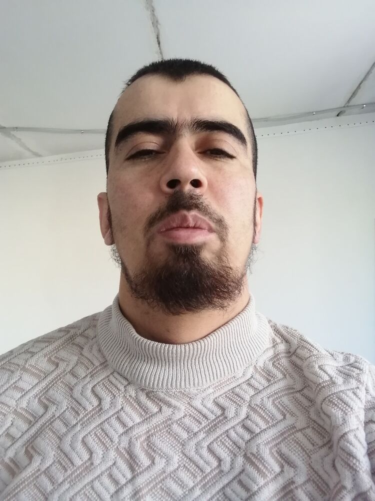  50041806  , 29 ,    