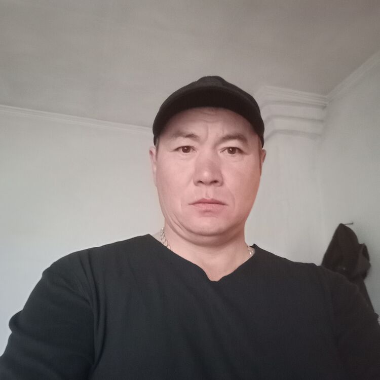  44456036  , 48 ,    