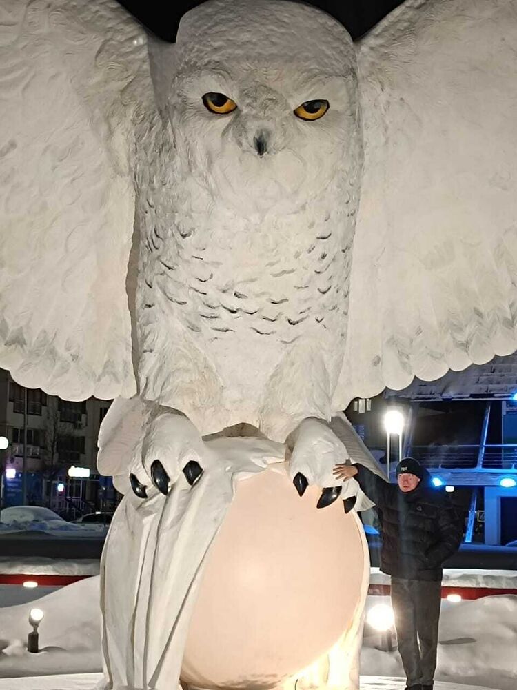 ���� 51354126 ������� ����������, 33 ����, ���� ���������� � ����������