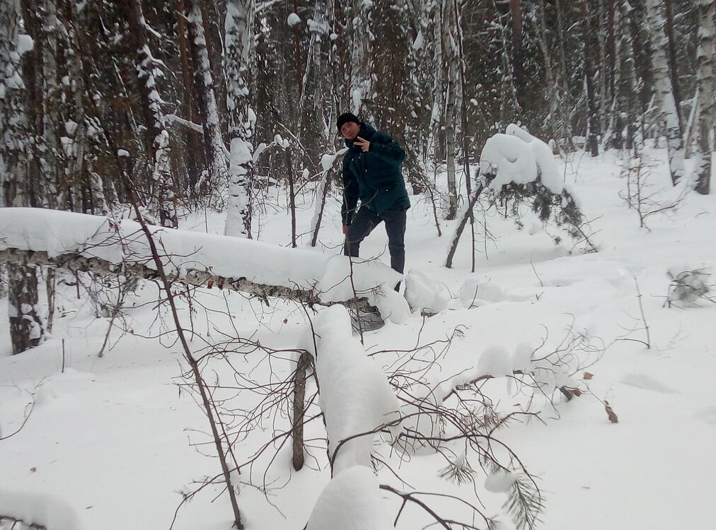 ���������� �������, ���� ������� �����, 36 ���, ������������ ��� ����� � ���������, c�������� ���������, ���������