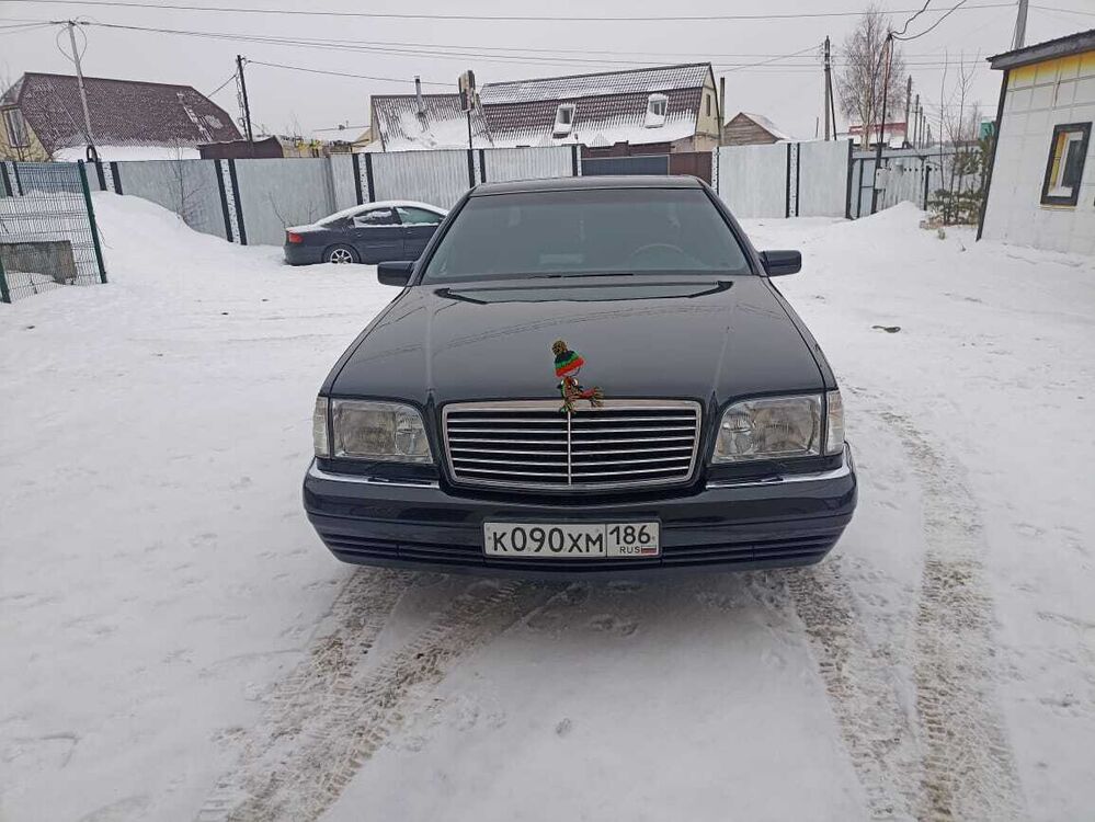  42446926  , 40 ,    
