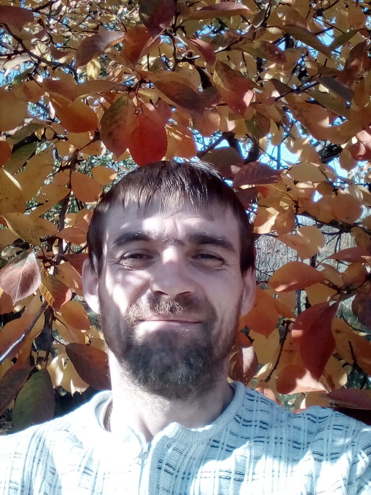 ���� 17852456 ������� �����, 49 ���, ���� ���������� � ����������