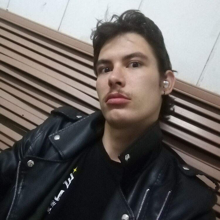  53931626  , 19 ,    -