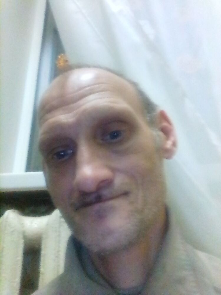  31680786  , 44 ,    