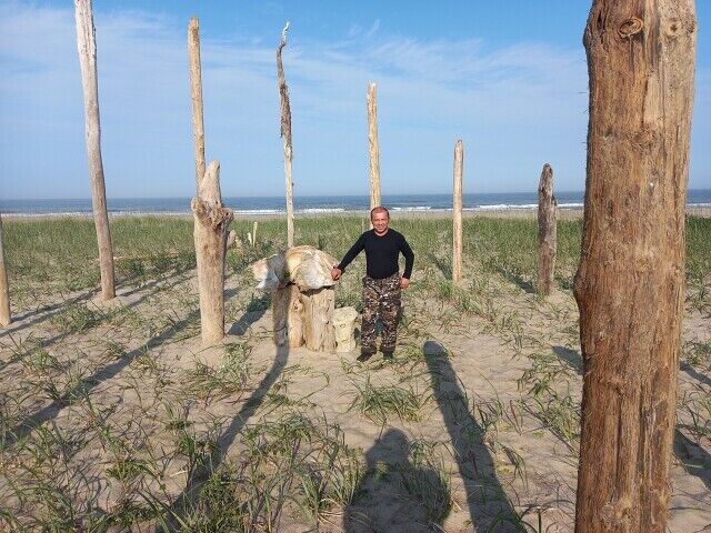 ���� 36355026 ������� ����, 47 ���, ���� ���������� � ������