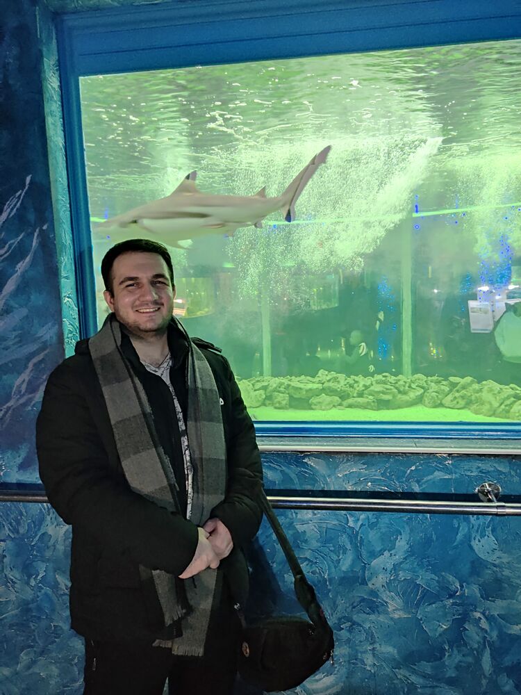 ���������� ���������, ���� ������� ������, 28 ���, ������������ ��� ������, ����� � ���������