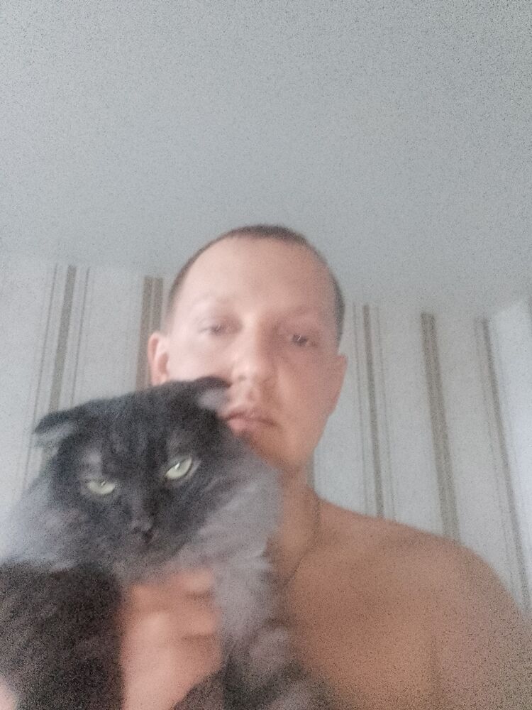 ���� 56015266 ������� �������, 36 ���, ���� ���������� � ��������