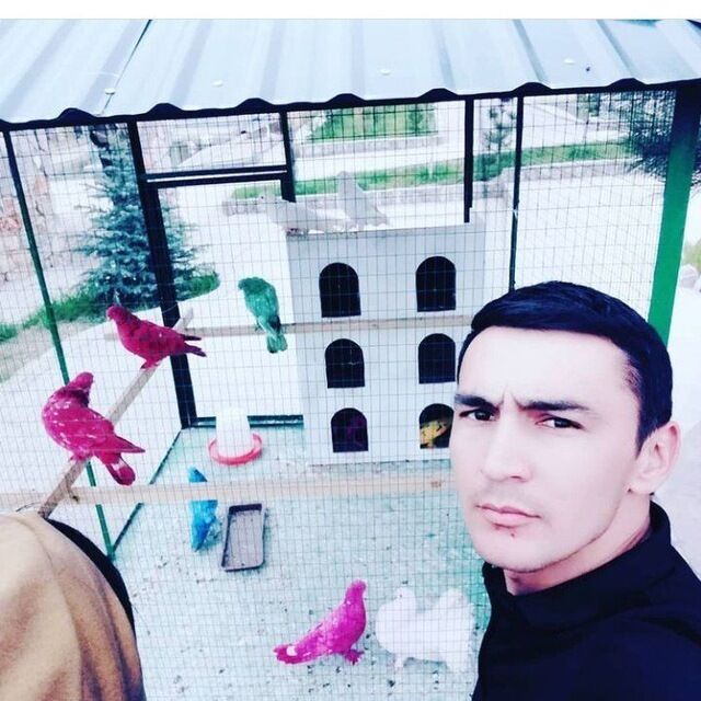 ���� 27046356 ������� �����, 35 ���, ���� ���������� � ��������