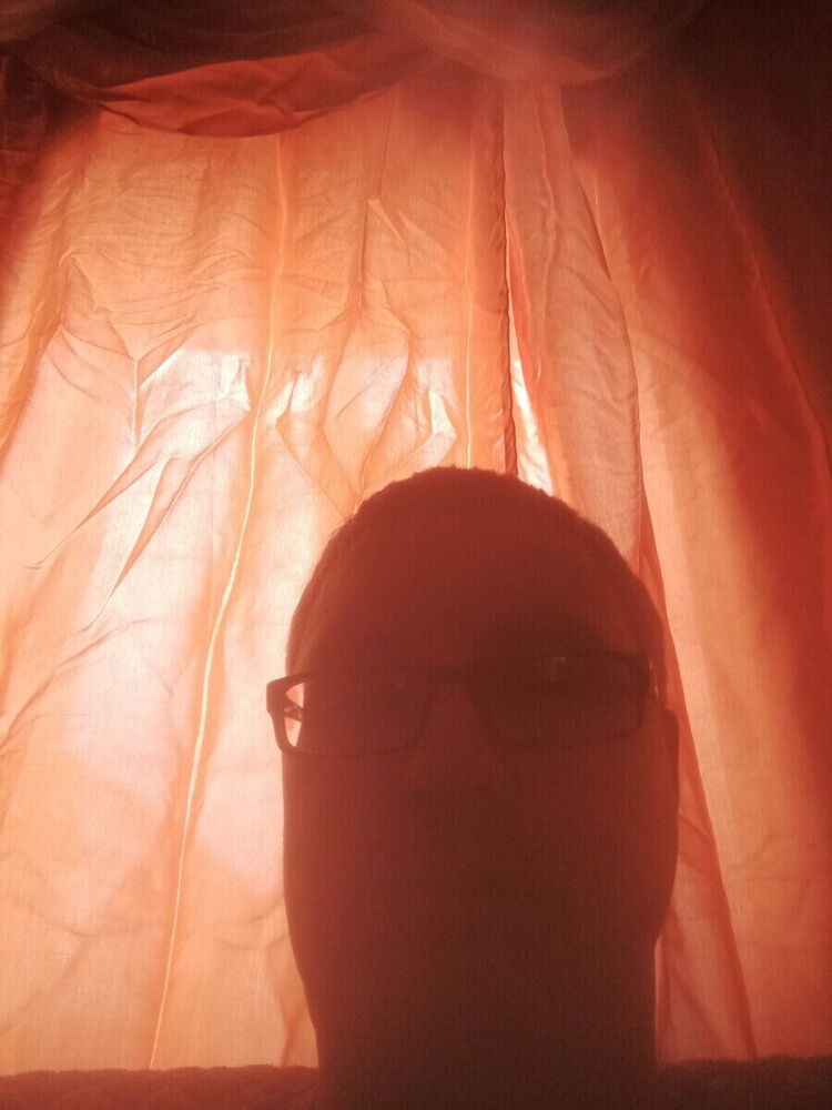  22219456  , 43 ,    