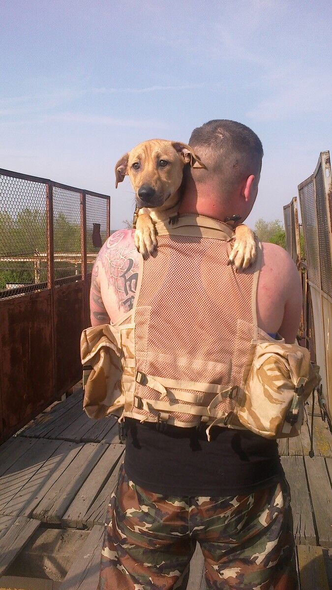 ���� 5056656 ������� �����, 38 ���, ���� ���������� � ����������