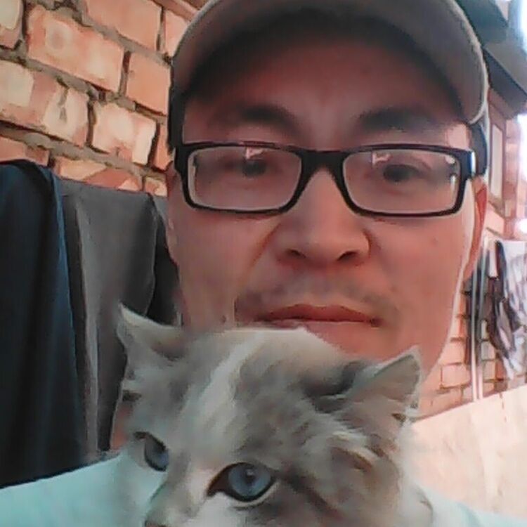 ���������� ������, ���� ������� ������, 50 ���, ������������ ��� ������, ����� � ���������