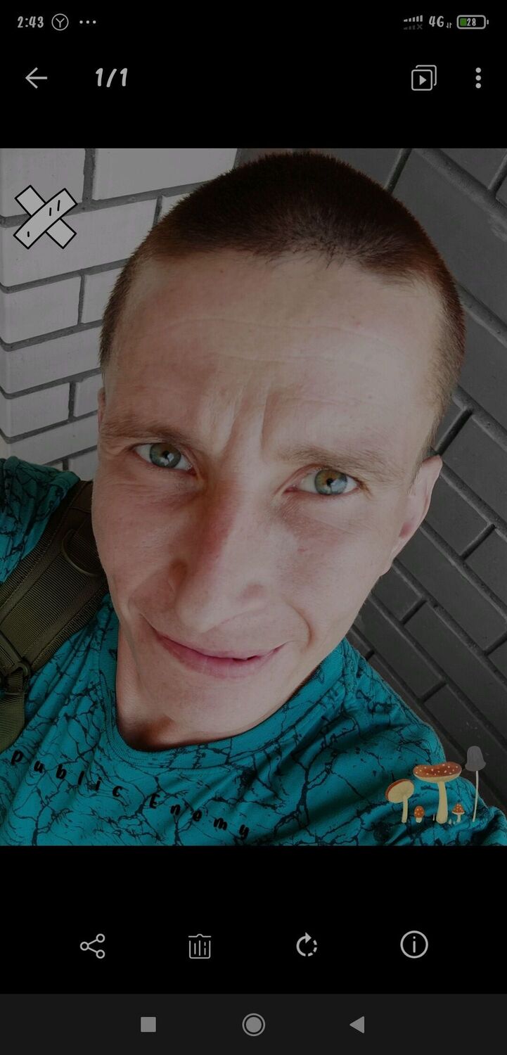  46191626  , 36 ,    