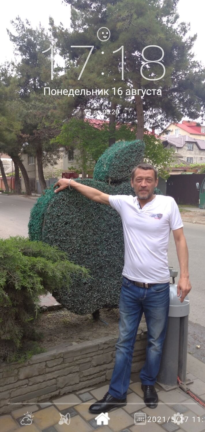 ���� 25296176 ������� ������, 50 ���, ���� ���������� � �����