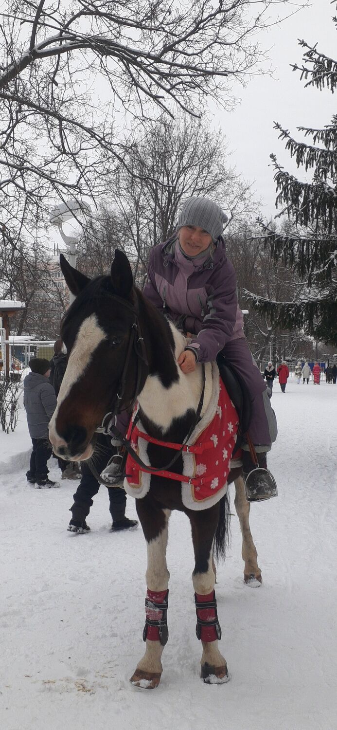 ���� 55813066 ������� ����, 46 ���, ���� ���������� � ������