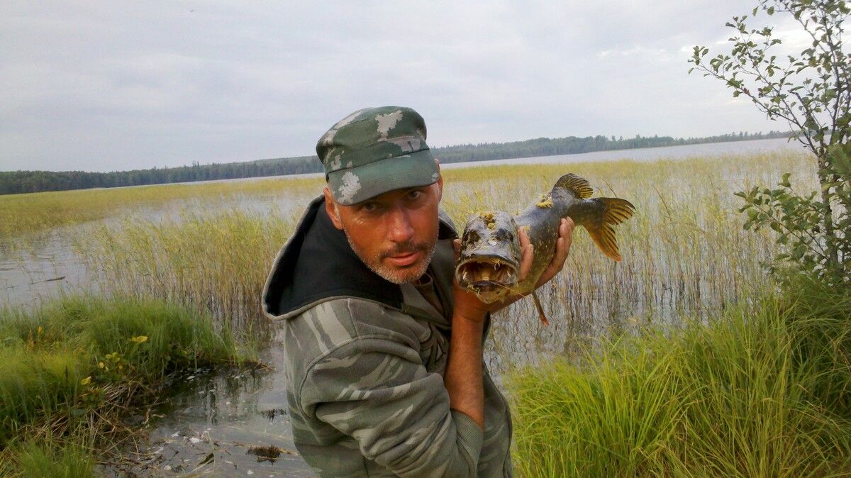  ,   , 57 ,  