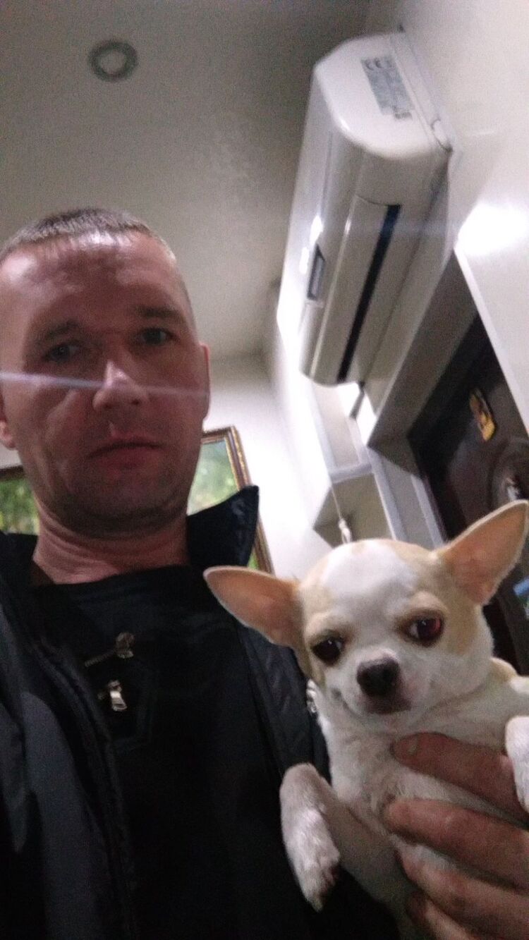 ���� 55002096 ������� ��������, 46 ���, ���� ���������� � ��������