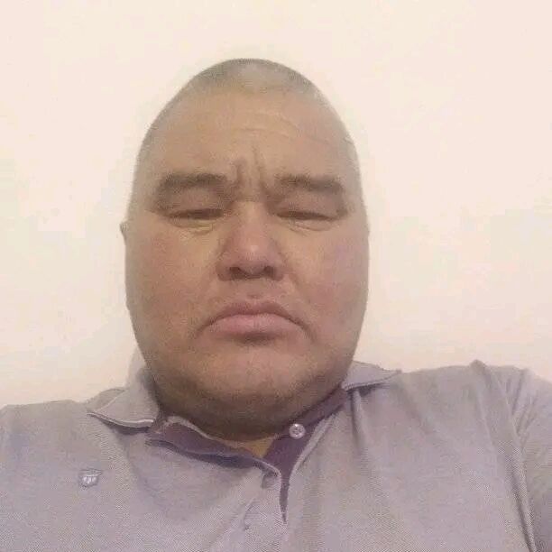 ���� 33248116 ������� ����, 48 ���, ���� ���������� � ������