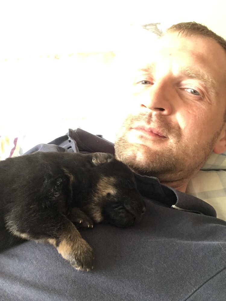 ���� 54969756 ������� ���������, 45 ���, ���� ���������� � ���������