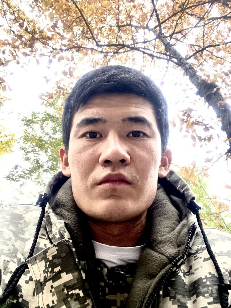 ���� 50201236 ����� Orolbek, 23 ����, ���� ���������� � ��������