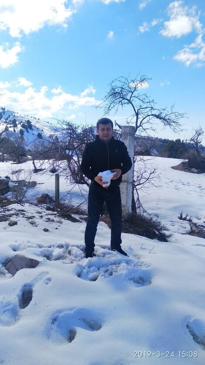 ���������� �������, ���� ������� Alimoff, 36 ���, ������������ ��� ������, ����� � ���������, c�������� ���������