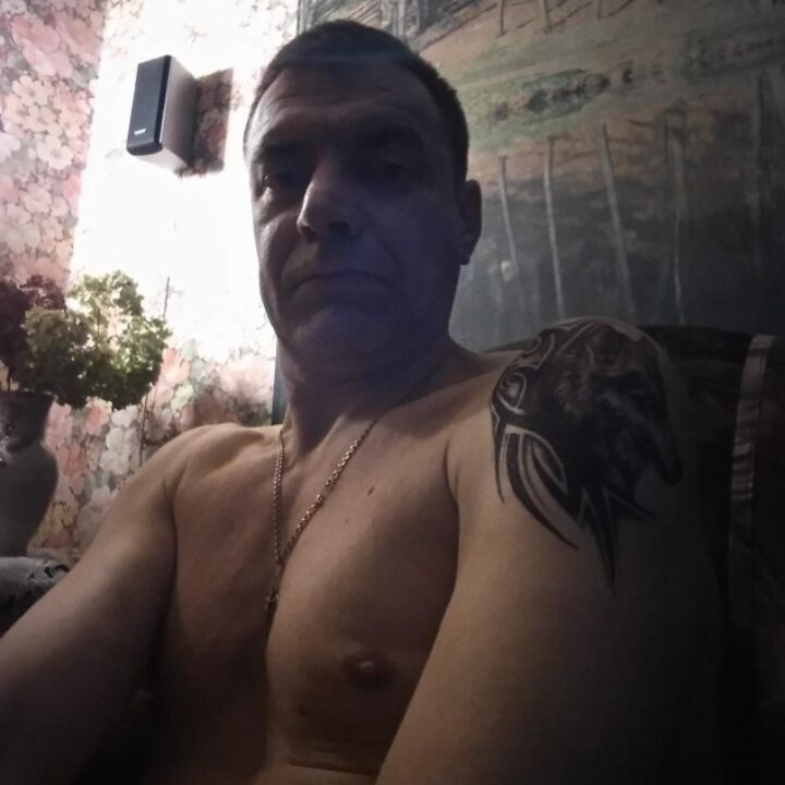  33955656  , 50 ,    