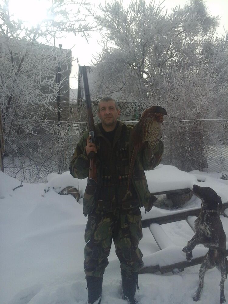 ���� 8895866 ������� �������, 50 ���, ���� ���������� � �����������