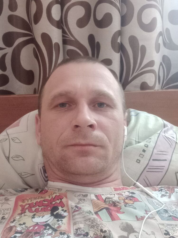  33808136  , 41 ,    