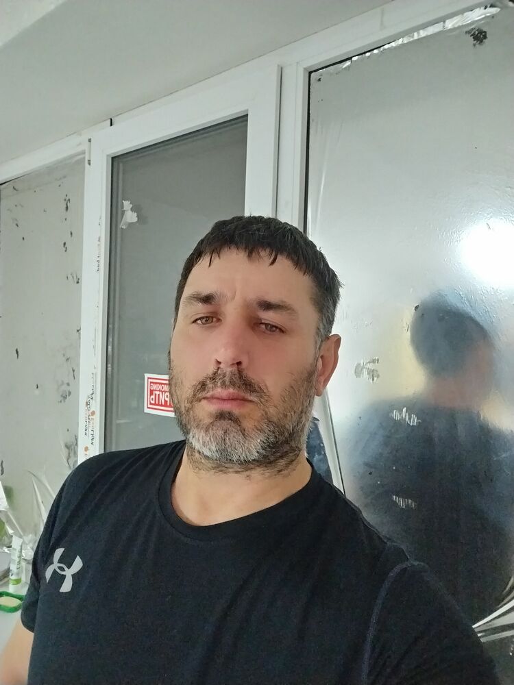  53778196  , 44 ,    