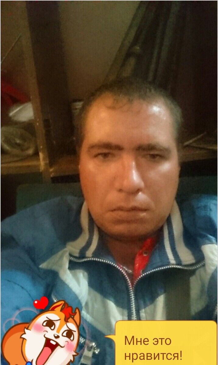  6537946  , 37 ,    