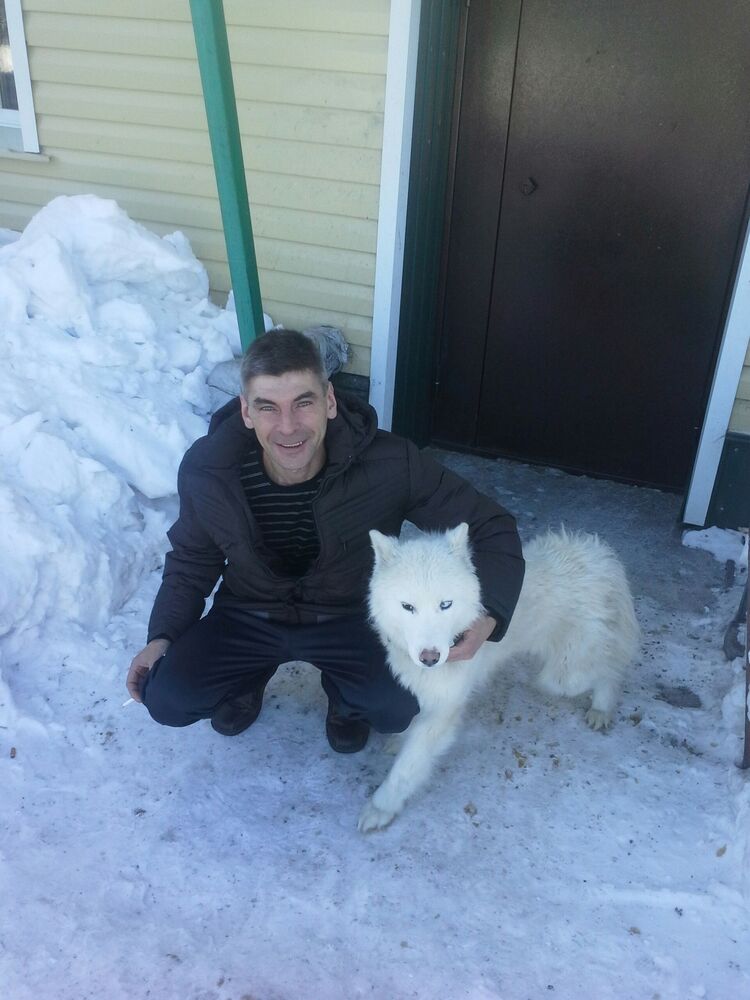 ���������� �����������, ���� ������� ������, 50 ���, ������������ ��� ������, ����� � ���������, c�������� ���������, ���������