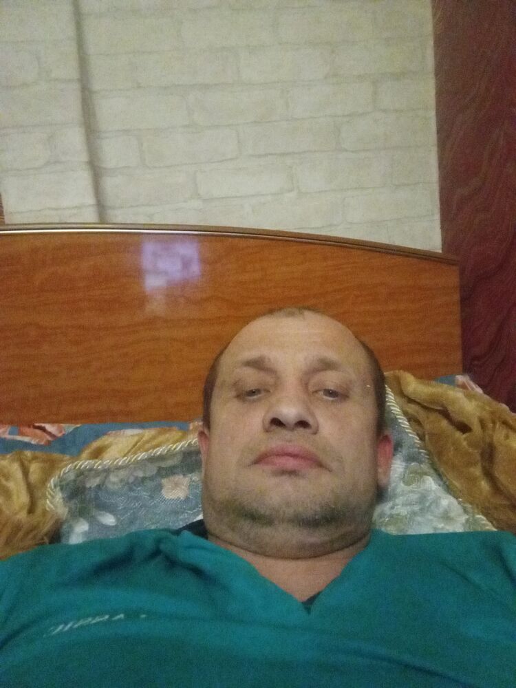  31373306  , 42 ,    