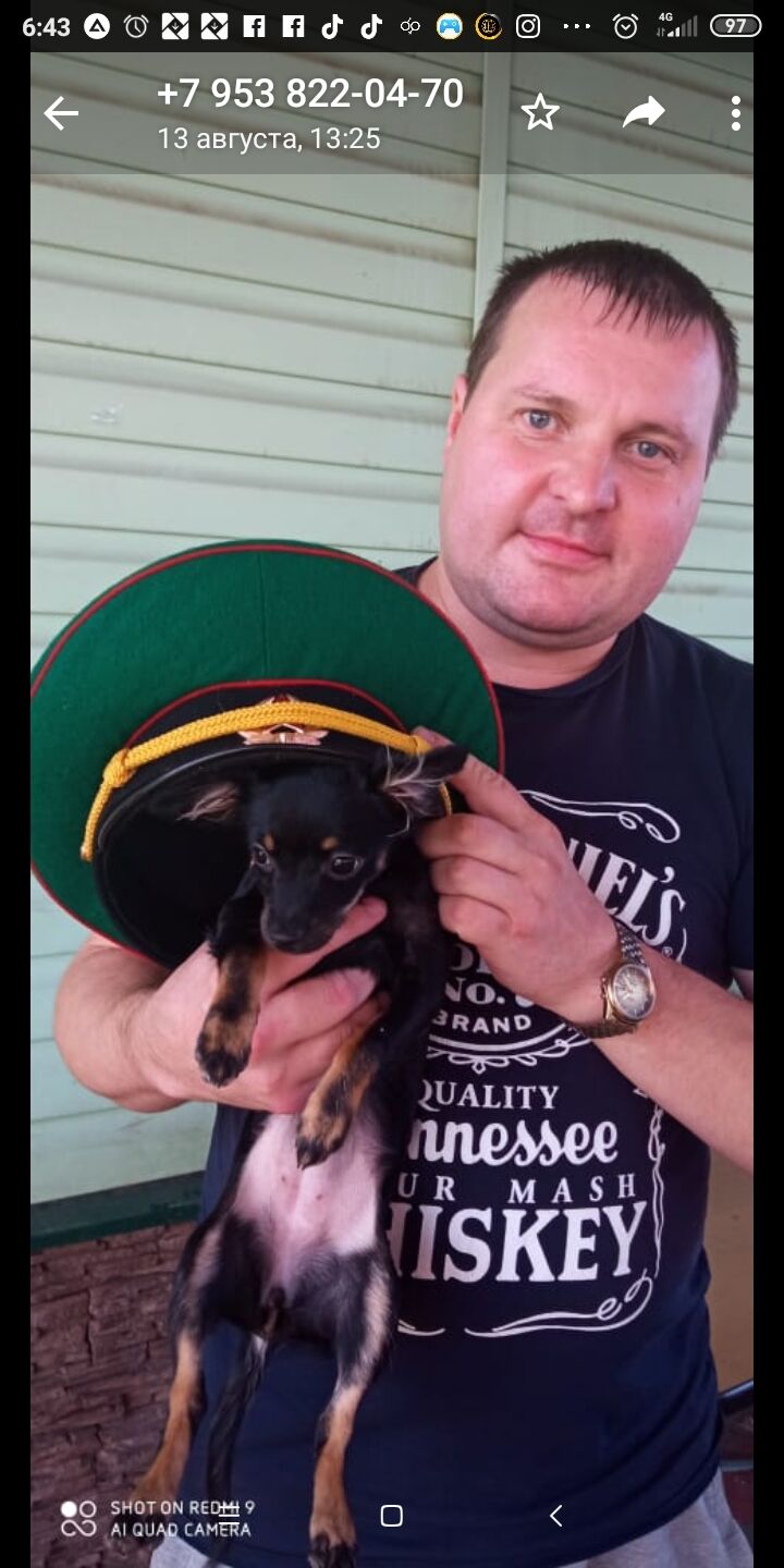 ���� 23925846 ������� �������, 40 ���, ���� ���������� � �������������