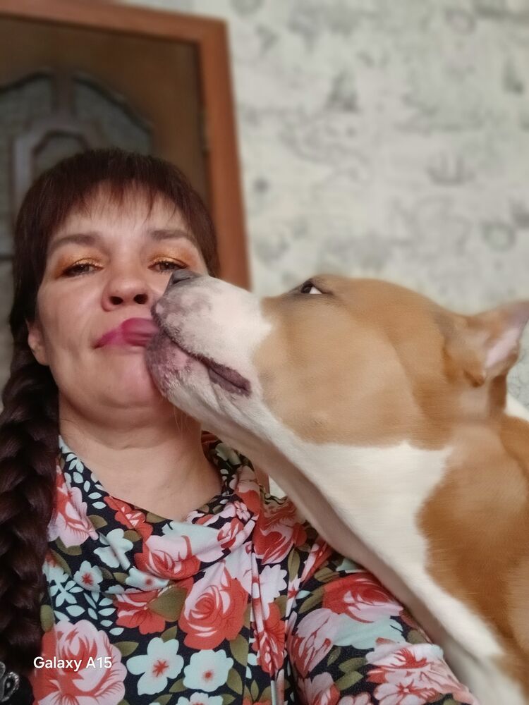 ���������� ����, ���� ������� ����, 49 ���, ������������ ��� ������, ����� � ���������